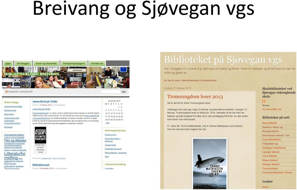 Sjøvegan