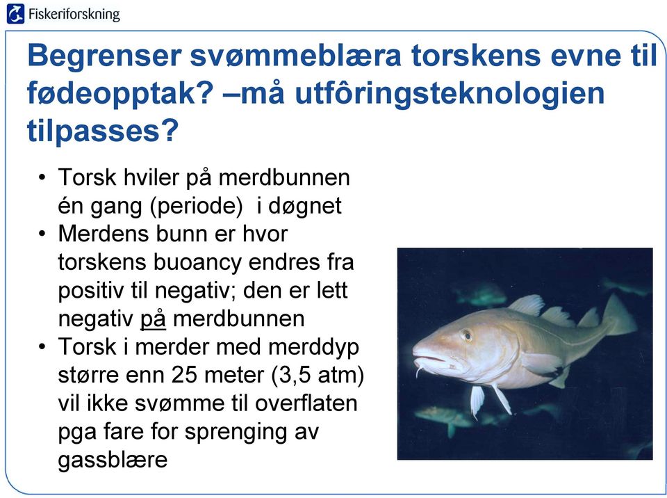 endres fra positiv til negativ; den er lett negativ på merdbunnen Torsk i merder med