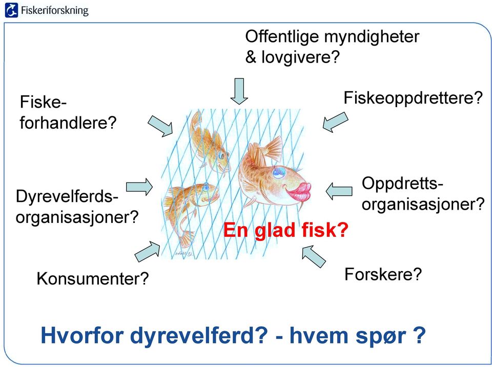 Dyrevelferdsorganisasjoner?