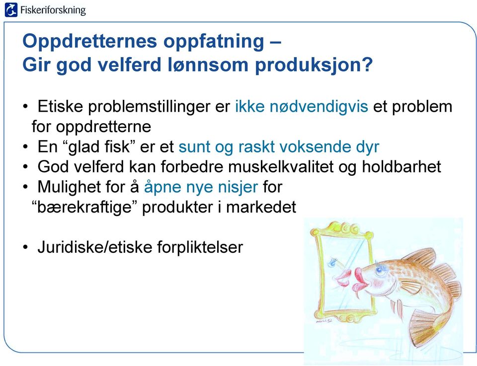 fisk er et sunt og raskt voksende dyr God velferd kan forbedre muskelkvalitet og