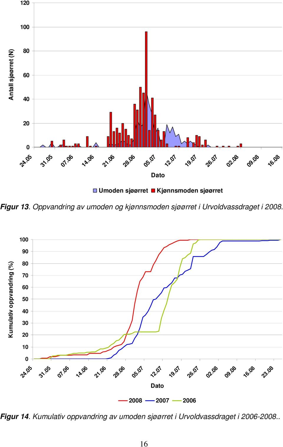 Oppvandring av umoden og kjønnsmoden sjøørret i Urvoldvassdraget i 2008.