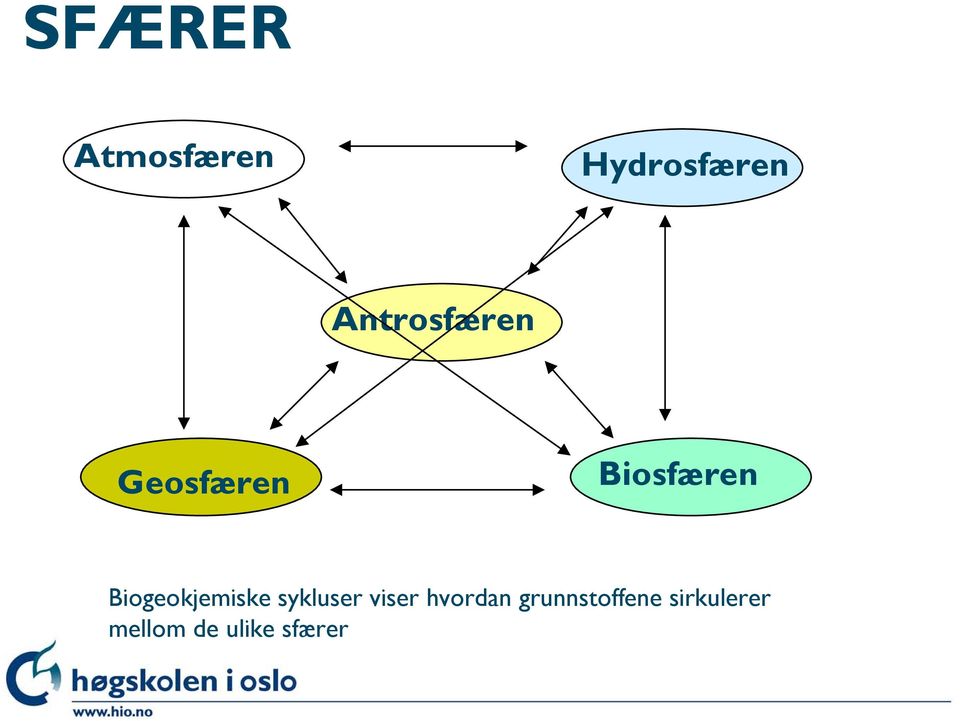 Biogeokjemiske sykluser viser