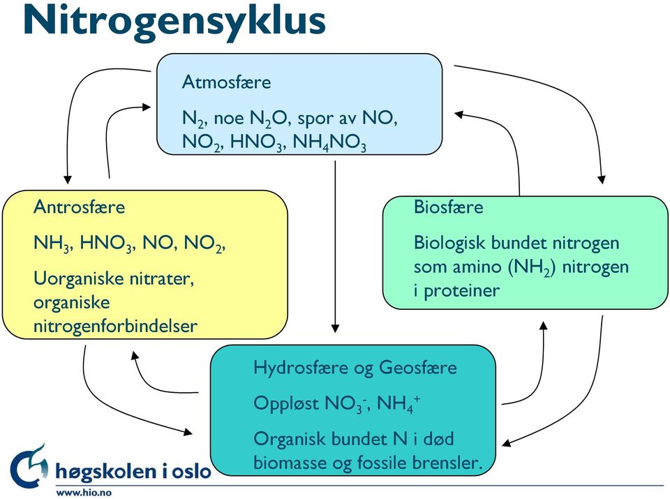 nitrogenforbindelser Biosfære Biologisk bundet nitrogen som amino (NH 2 ) nitrogen