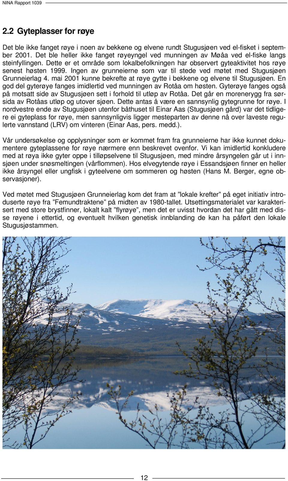 Ingen av grunneierne som var til stede ved møtet med Stugusjøen Grunneierlag 4. mai 2001 kunne bekrefte at røye gytte i bekkene og elvene til Stugusjøen.