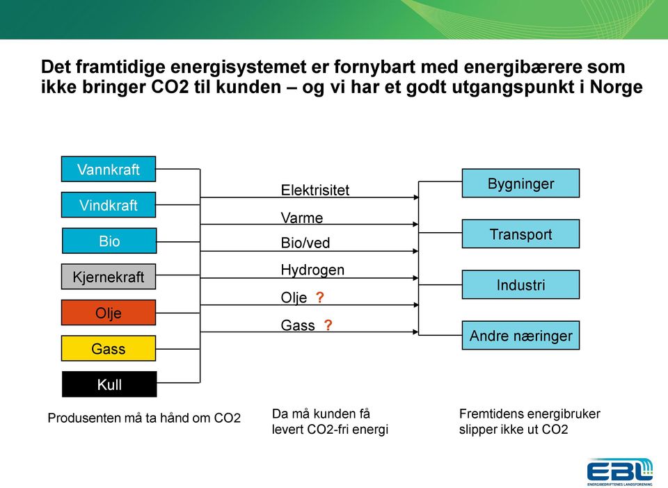 Produsenten må ta hånd om CO2 Elektrisitet Varme Bio/ved Hydrogen Olje? Gass?