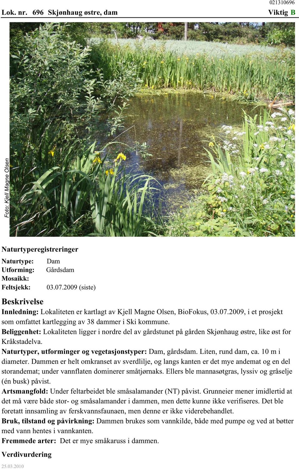 Beliggenhet: Lokaliteten ligger i nordre del av gårdstunet på gården Skjønhaug østre, like øst for Kråkstadelva. Naturtyper, utforminger og vegetasjonstyper: Dam, gårdsdam. Liten, rund dam, ca.