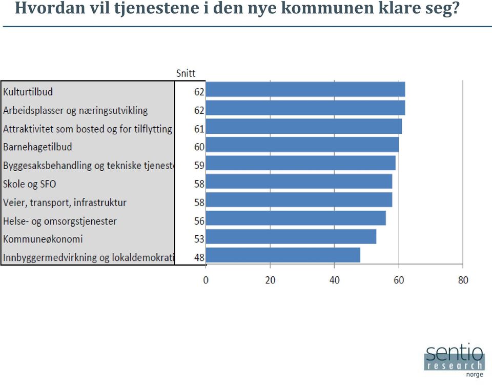 den nye