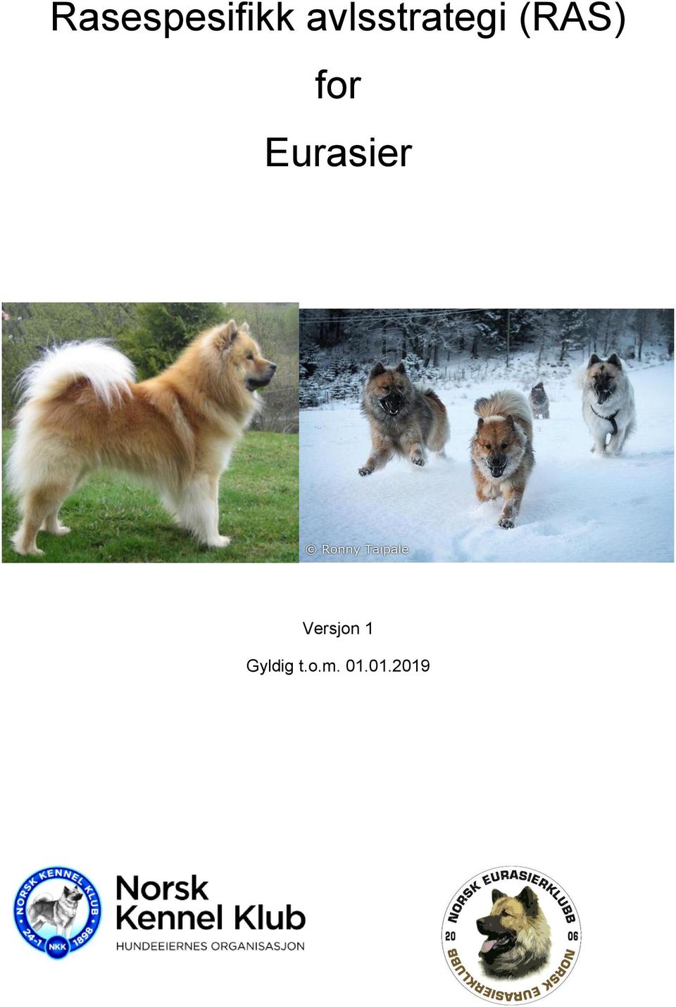 for Eurasier