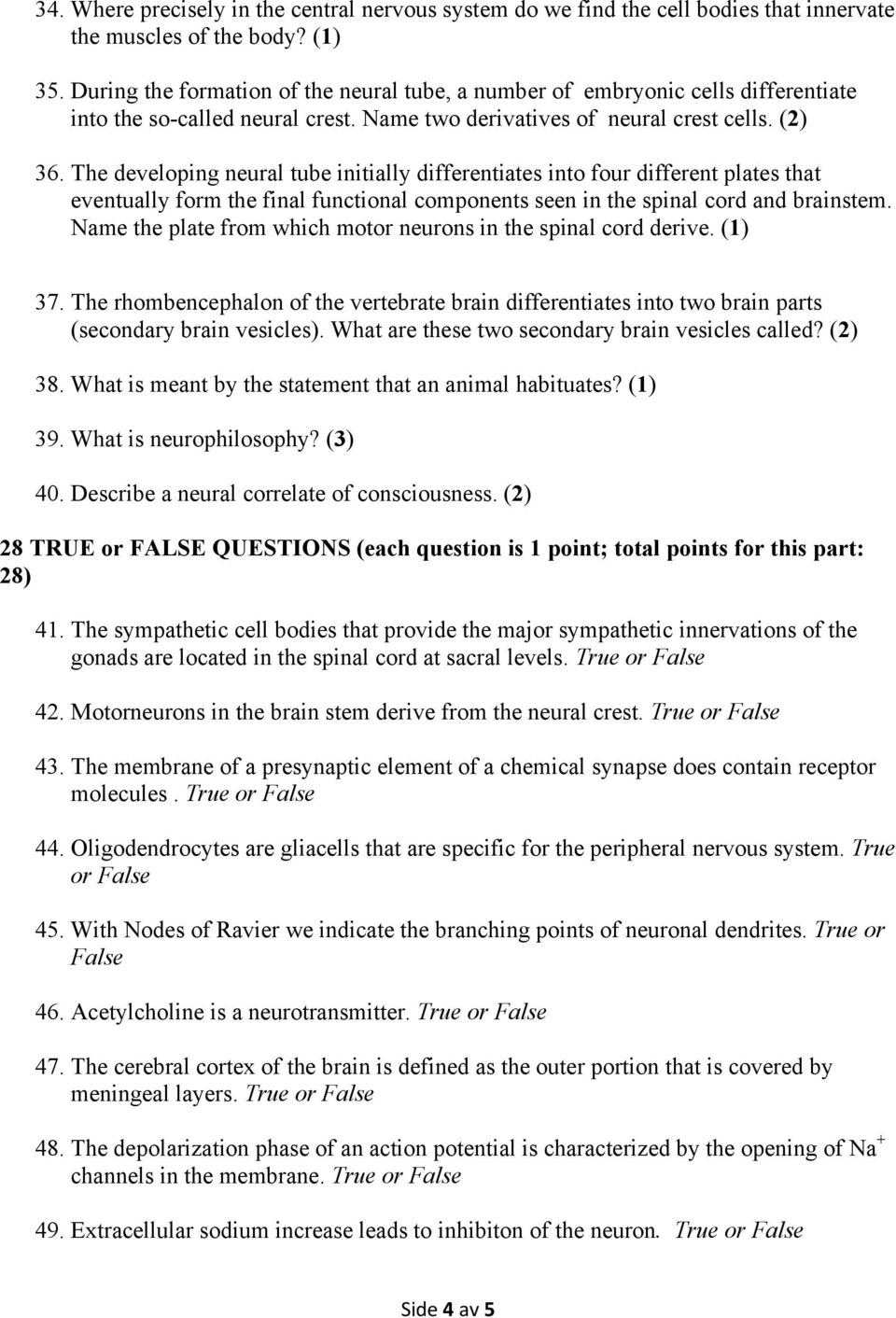 The developing neural tube initially differentiates into four different plates that eventually form the final functional components seen in the spinal cord and brainstem.