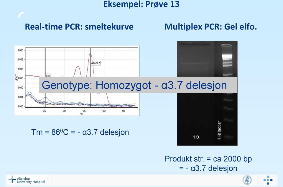 Genotype: Homozygot - α3.