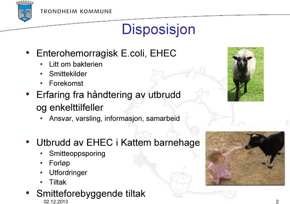 håndtering av utbrudd og enkelttilfeller Ansvar, varsling, informasjon,