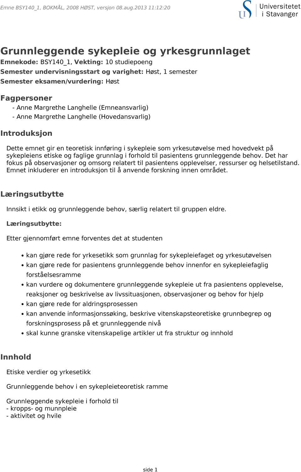 og faglige grunnlag i forhold til pasientens grunnleggende behov. Det har fokus på observasjoner og omsorg relatert til pasientens opplevelser, ressurser og helsetilstand.