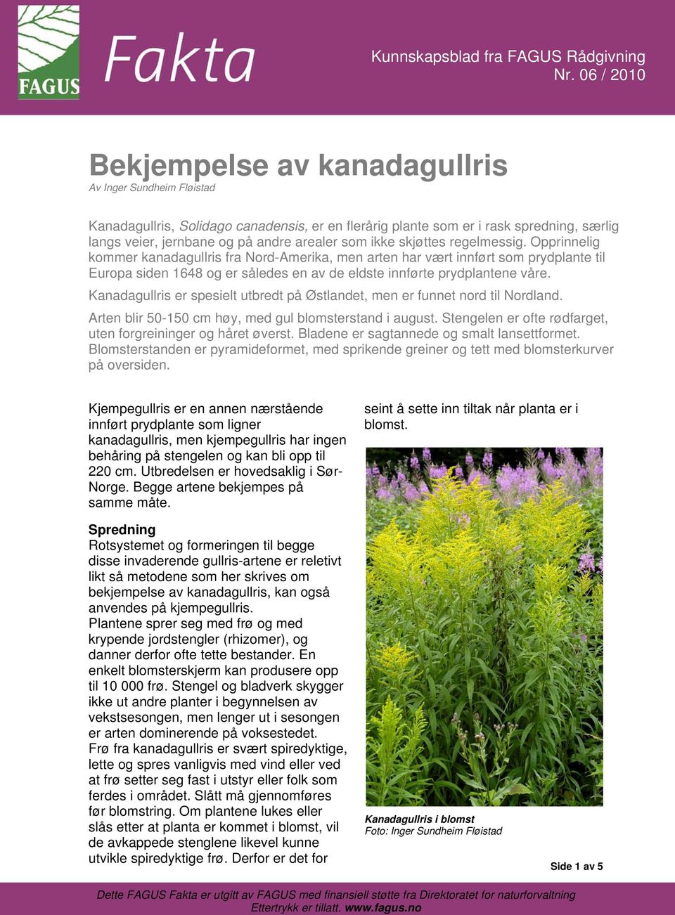 Kanadagullris er spesielt utbredt på Østlandet, men er funnet nord til Nordland. Arten blir 50-150 cm høy, med gul blomsterstand i august.