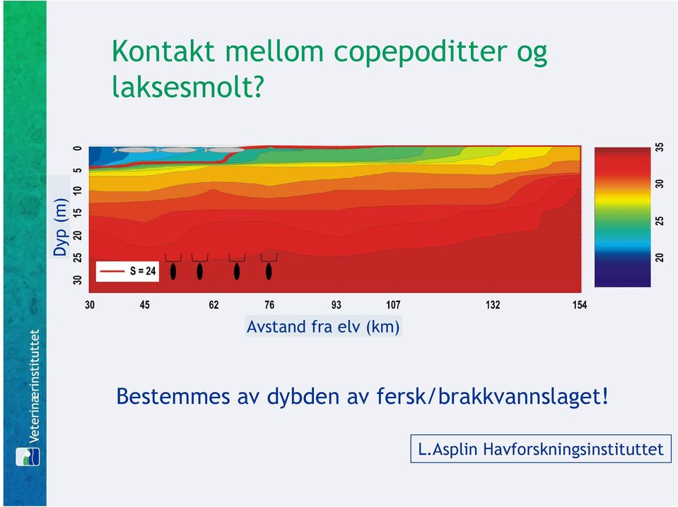 Dyp (m) Avstand fra elv (km)