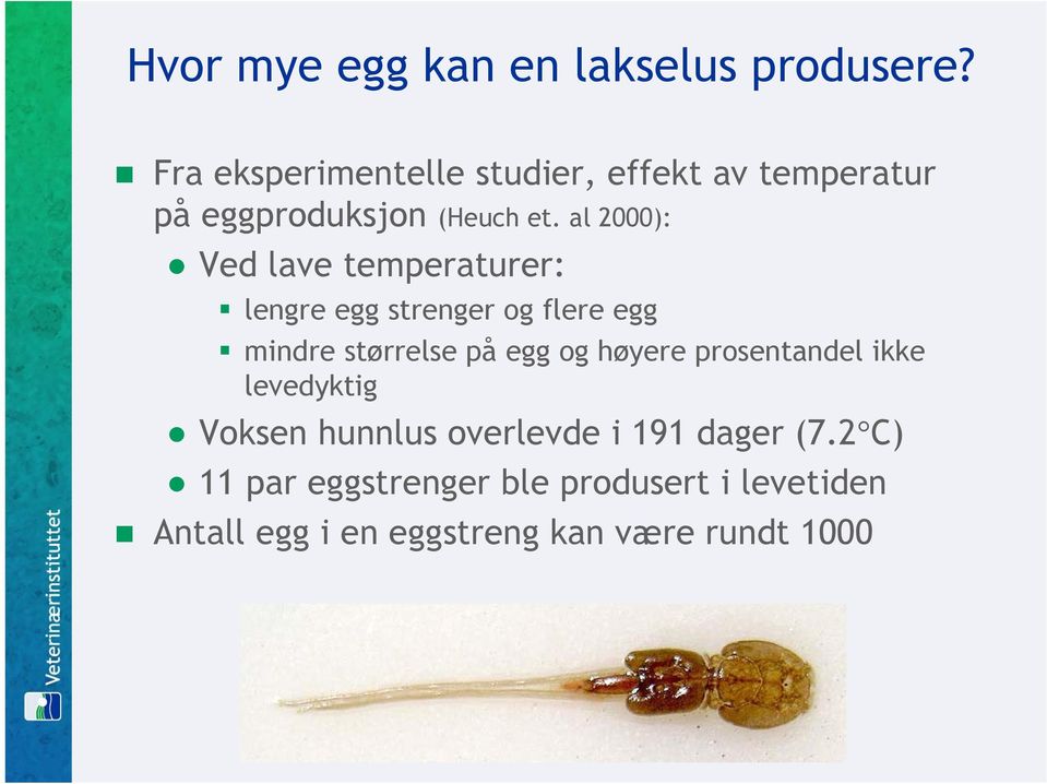 al 2000): Ved lave temperaturer: lengre egg strenger og flere egg mindre størrelse på egg og