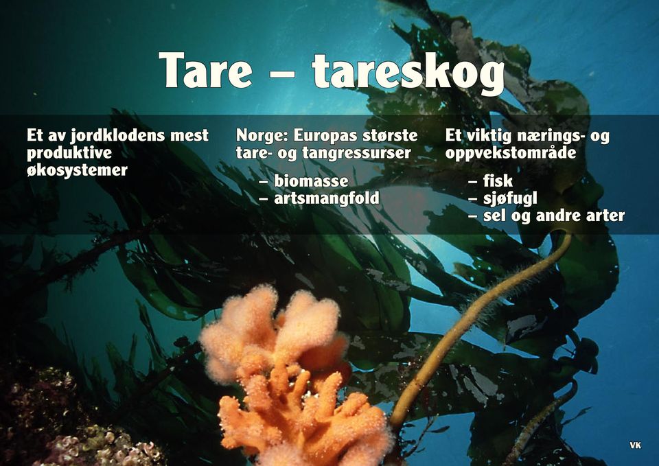 tangressurser biomasse artsmangfold Et viktig