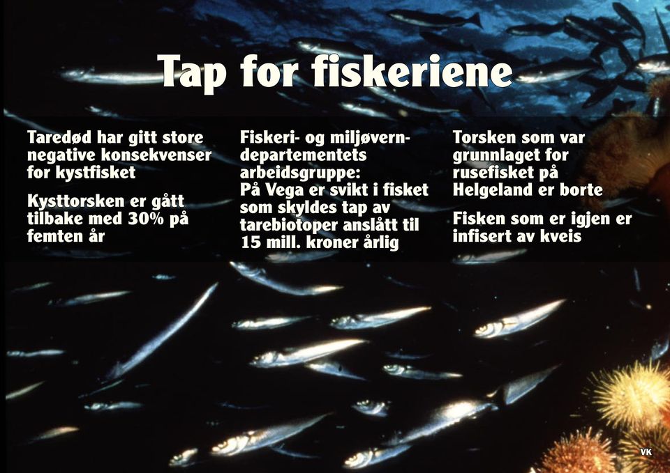 er svikt i fisket som skyldes tap av tarebiotoper anslått til 15 mill.