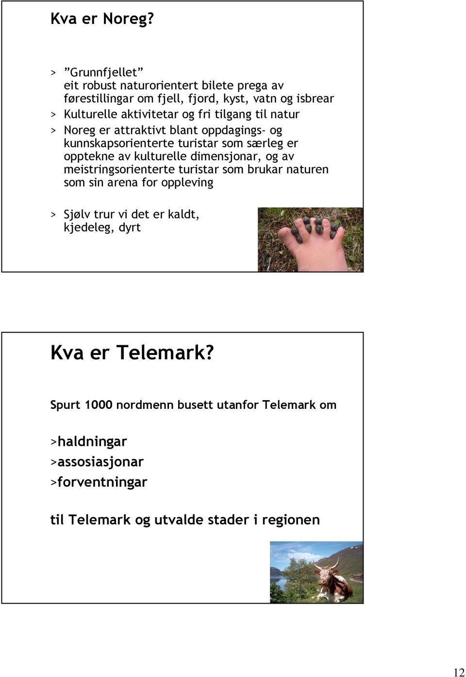 tilgang til natur > Noreg er attraktivt blant oppdagings- og kunnskapsorienterte turistar som særleg er opptekne av kulturelle dimensjonar, og