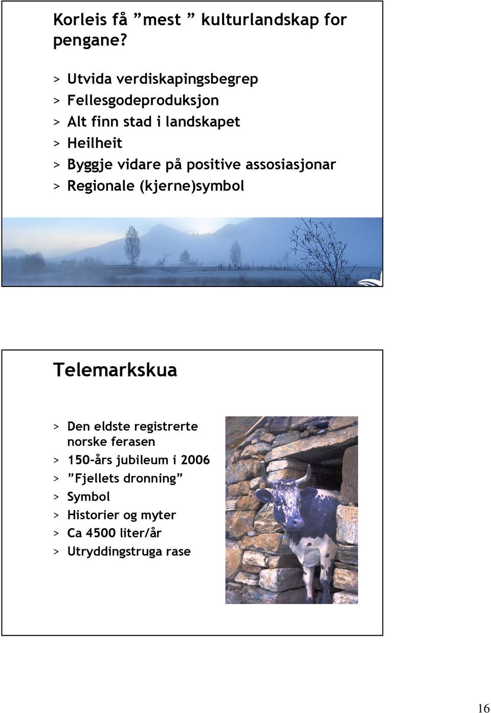 Byggje vidare på positive assosiasjonar > Regionale (kjerne)symbol Telemarkskua > Den eldste