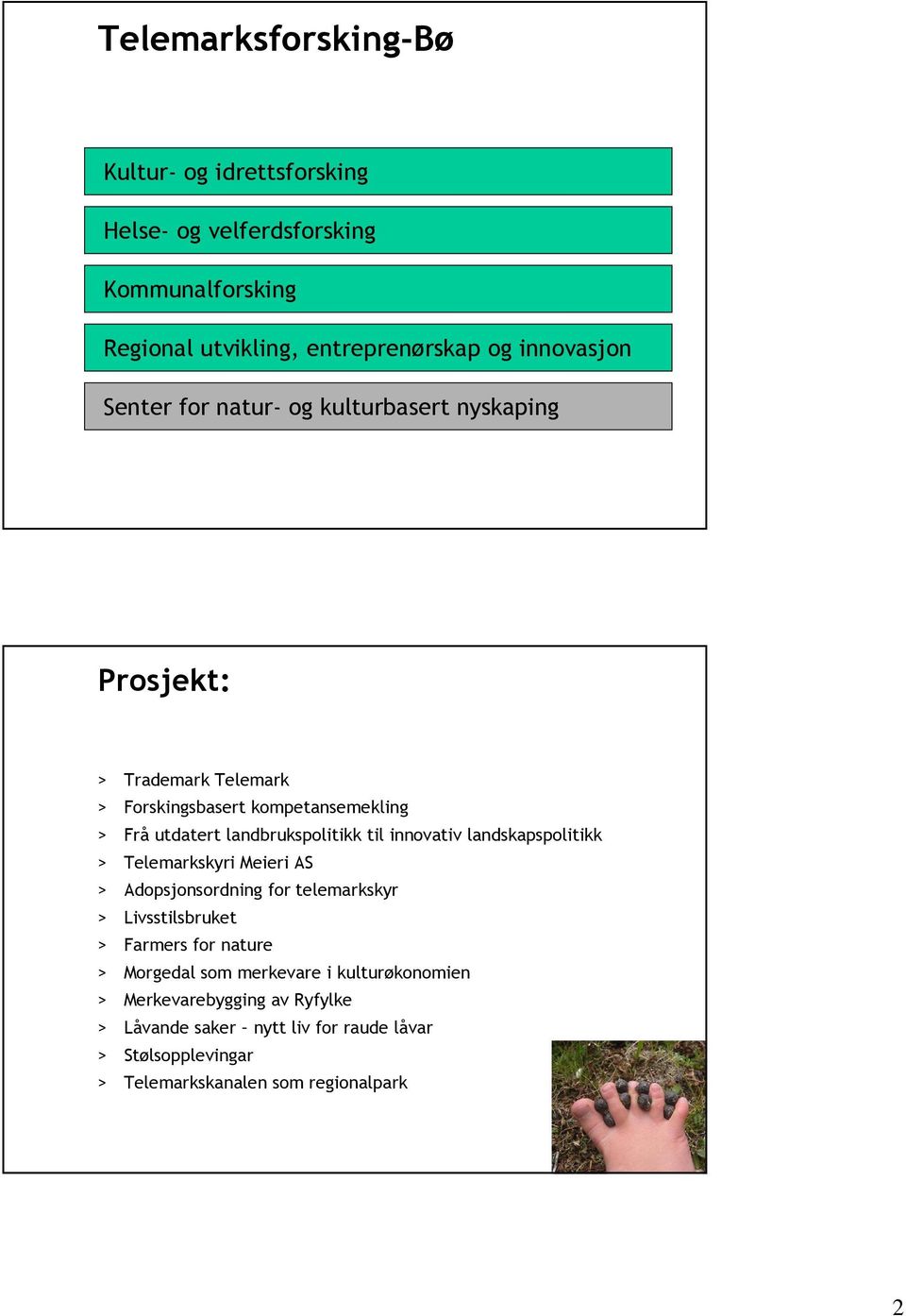 innovativ landskapspolitikk > Telemarkskyri Meieri AS > Adopsjonsordning for telemarkskyr > Livsstilsbruket > Farmers for nature > Morgedal som