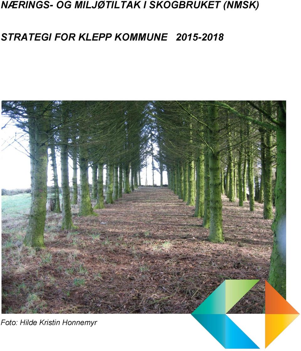 FOR KLEPP KOMMUNE 2015-2018