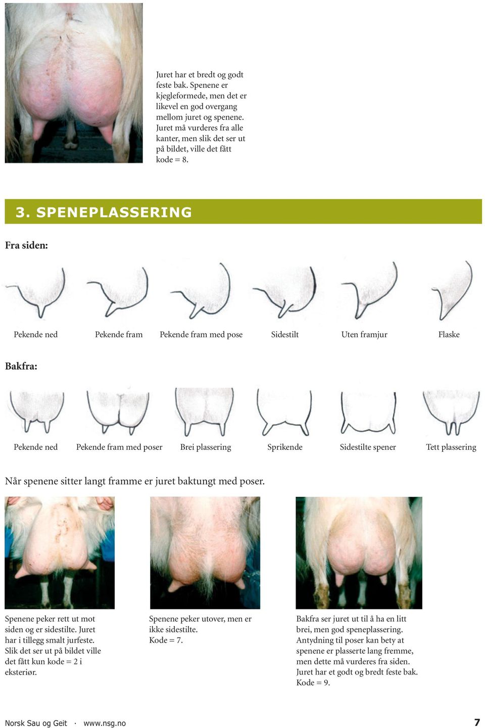 SPENEPLASSERING Fra siden: Pekende ned Pekende fram Pekende fram med pose Sidestilt Uten framjur Flaske Bakfra: Pekende ned Pekende fram med poser Brei plassering Sprikende Sidestilte spener Tett