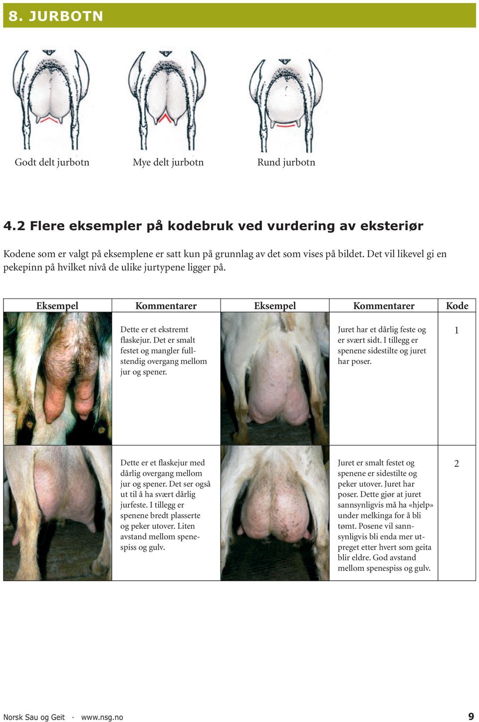 Det vil likevel gi en pekepinn på hvilket nivå de ulike jurtypene ligger på. Eksempel Kommentarer Eksempel Kommentarer Kode Dette er et ekstremt flaskejur.