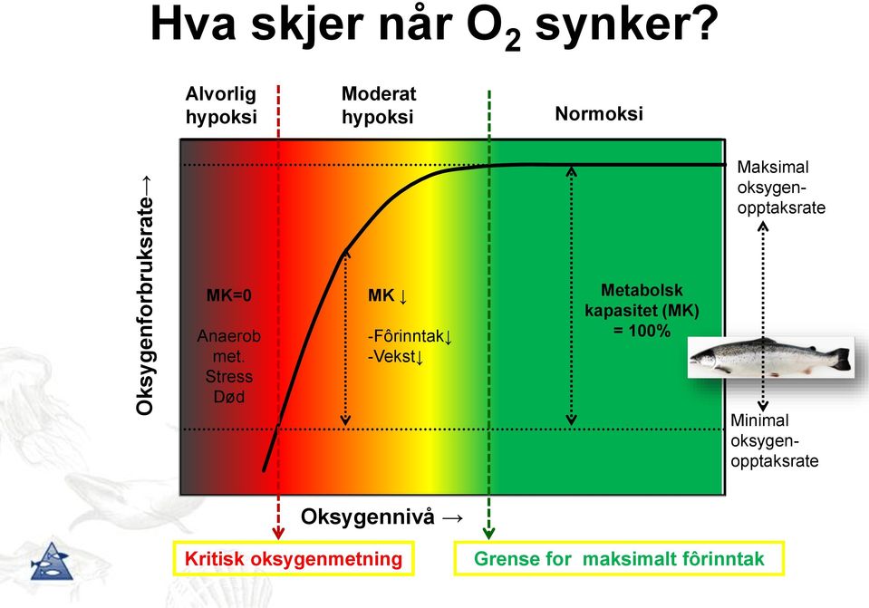 MK=0 Anaerob met.