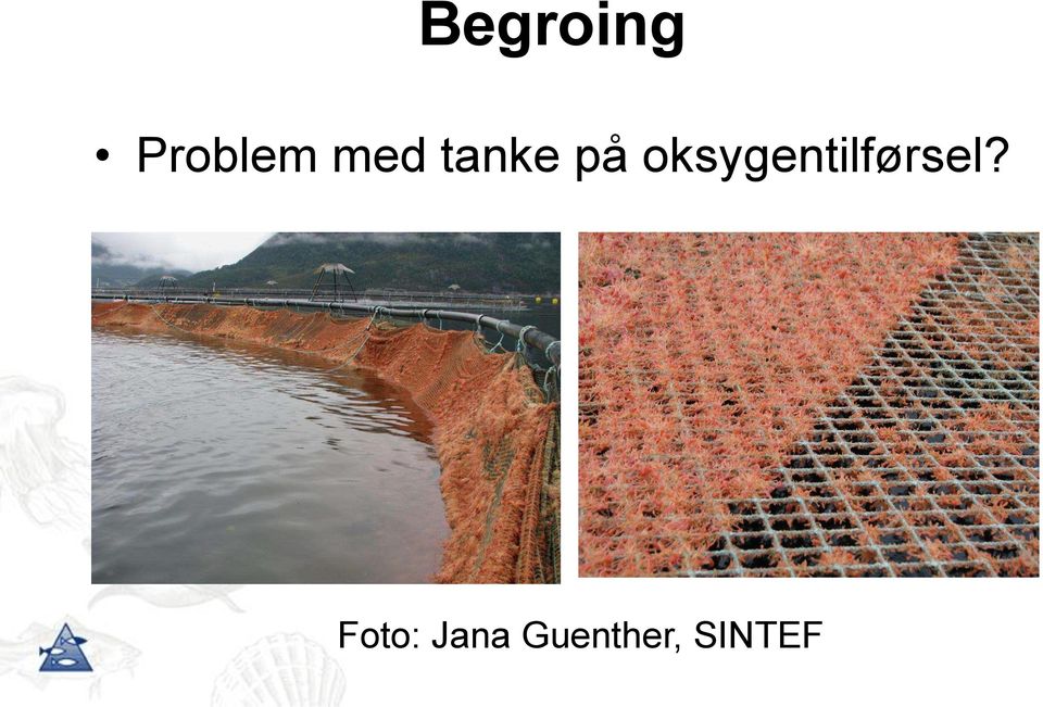 oksygentilførsel?