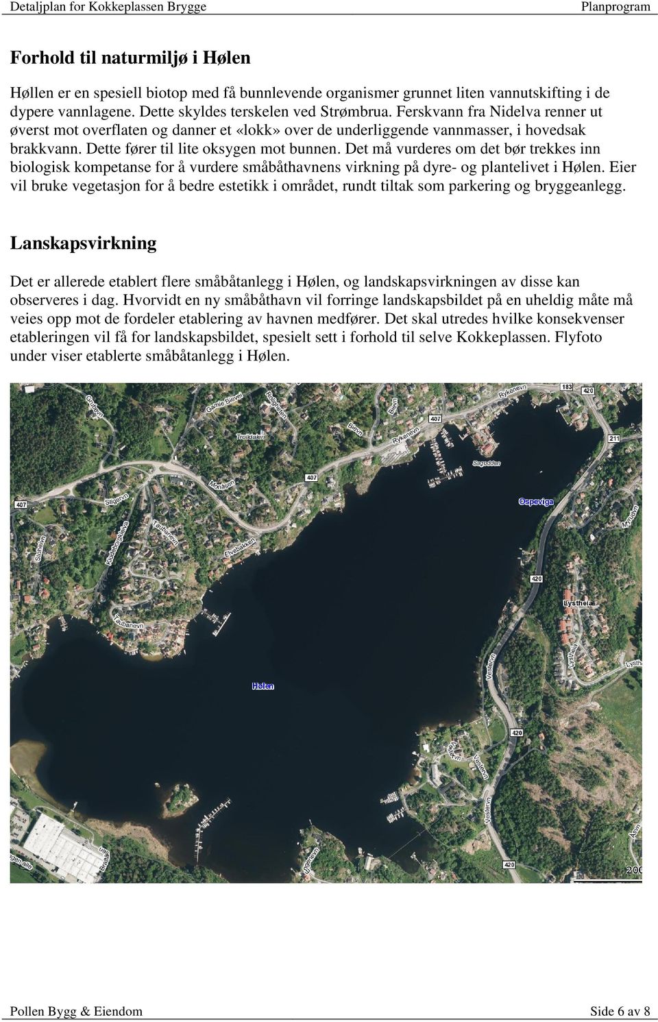 Det må vurderes om det bør trekkes inn biologisk kompetanse for å vurdere småbåthavnens virkning på dyre- og plantelivet i Hølen.