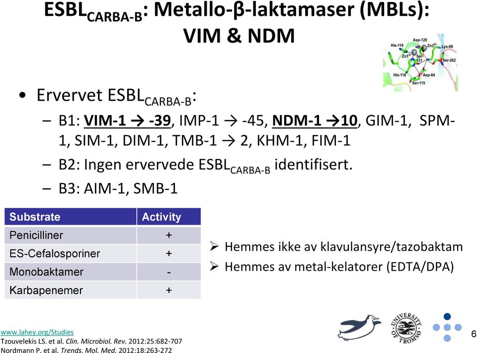 B3: AIM-1, SMB-1 Substrate Activity Penicilliner + ES-Cefalosporiner + Monobaktamer - Hemmes ikke av klavulansyre/tazobaktam