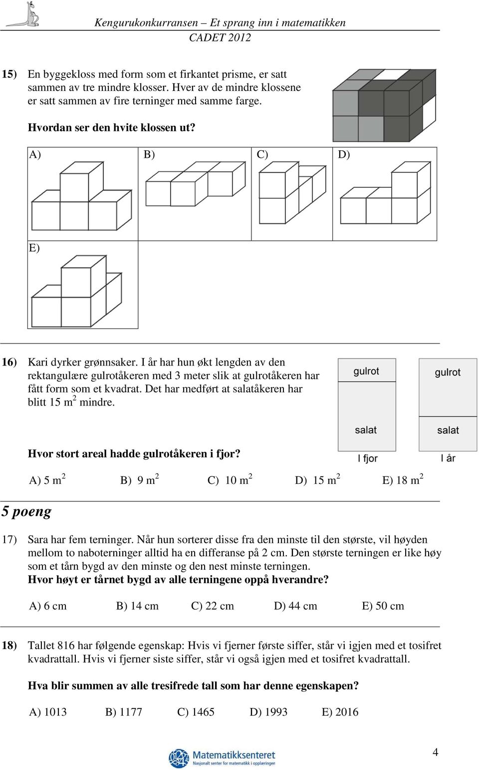 Det har medført at salatåkeren har blitt 15 m 2 mindre. 5 poeng Hvor stort areal hadde gulrotåkeren i fjor? A) 5 m 2 B) 9 m 2 C) 10 m 2 D) 15 m 2 E) 18 m 2 17) Sara har fem terninger.