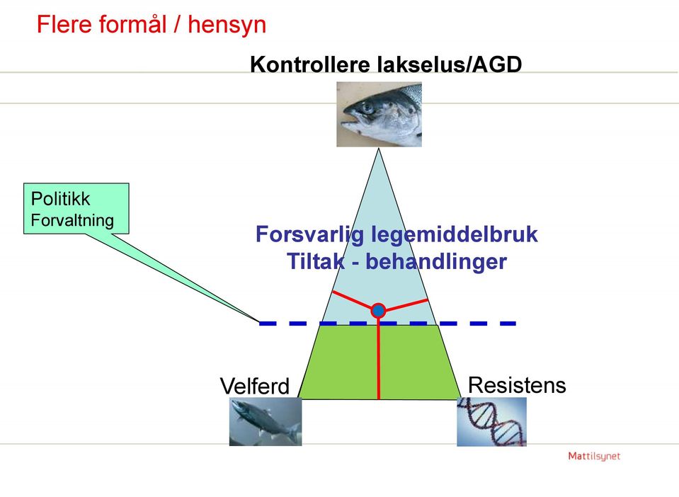 Forsvarlig legemiddelbruk Tiltak