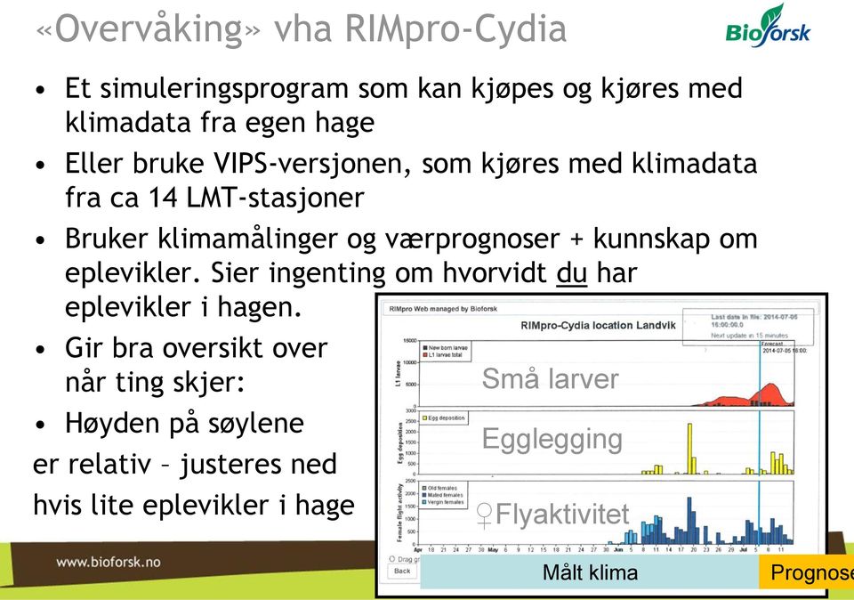 kunnskap om eplevikler. Sier ingenting om hvorvidt du har eplevikler i hagen.