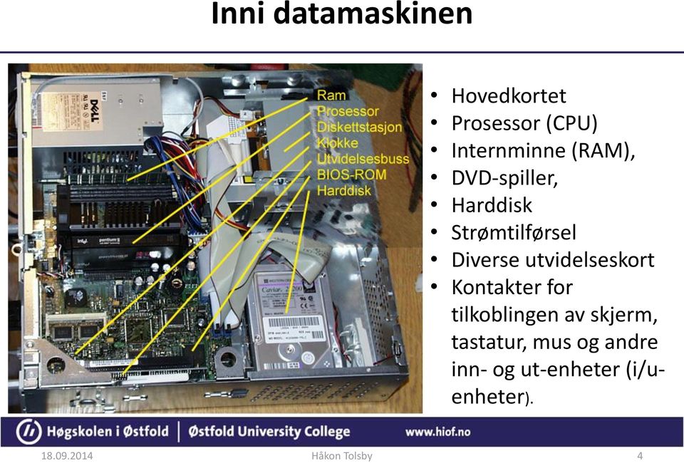 utvidelseskort Kontakter for tilkoblingen av skjerm,