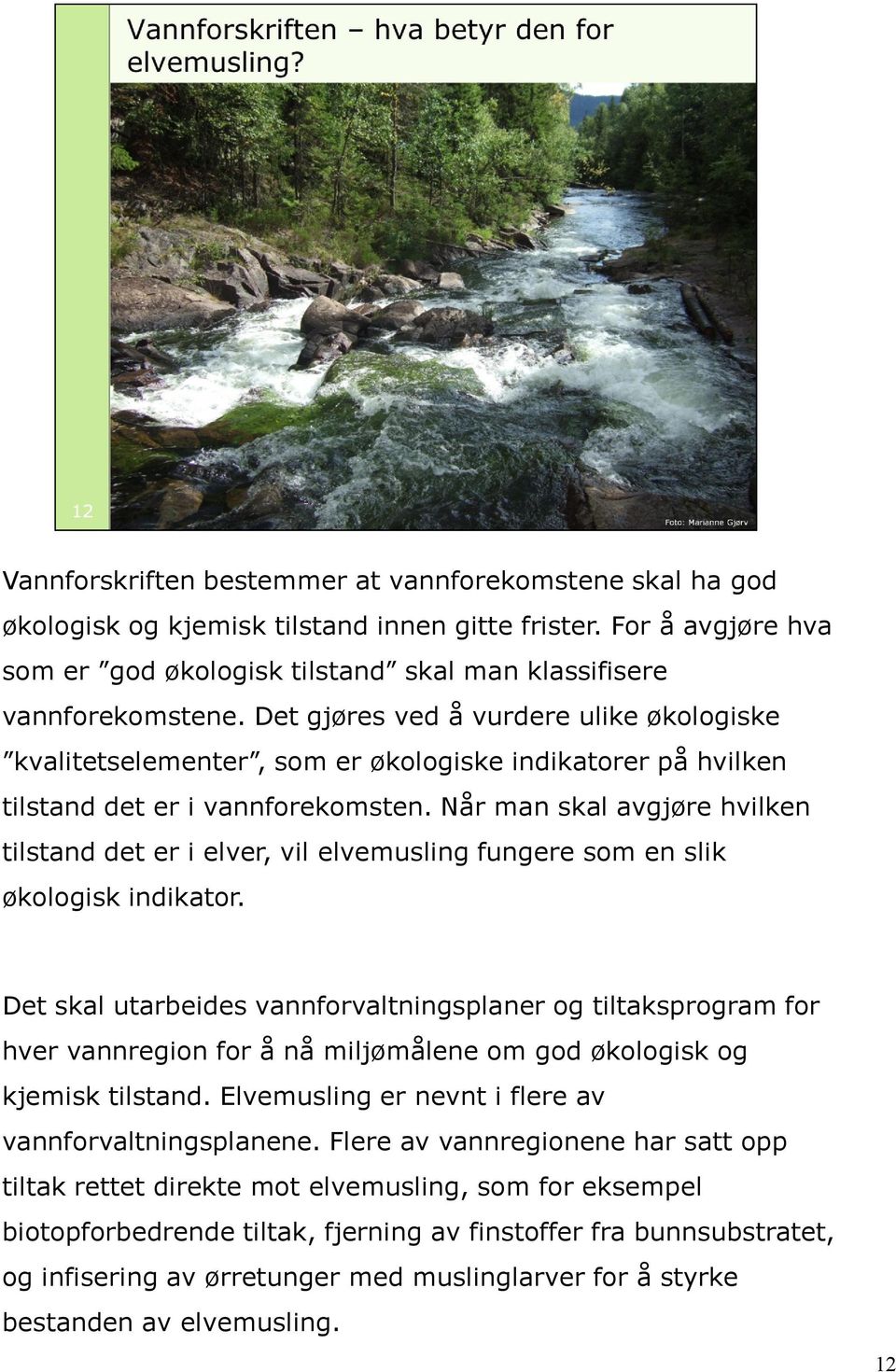 Når man skal avgjøre hvilken tilstand det er i elver, vil elvemusling fungere som en slik økologisk indikator.