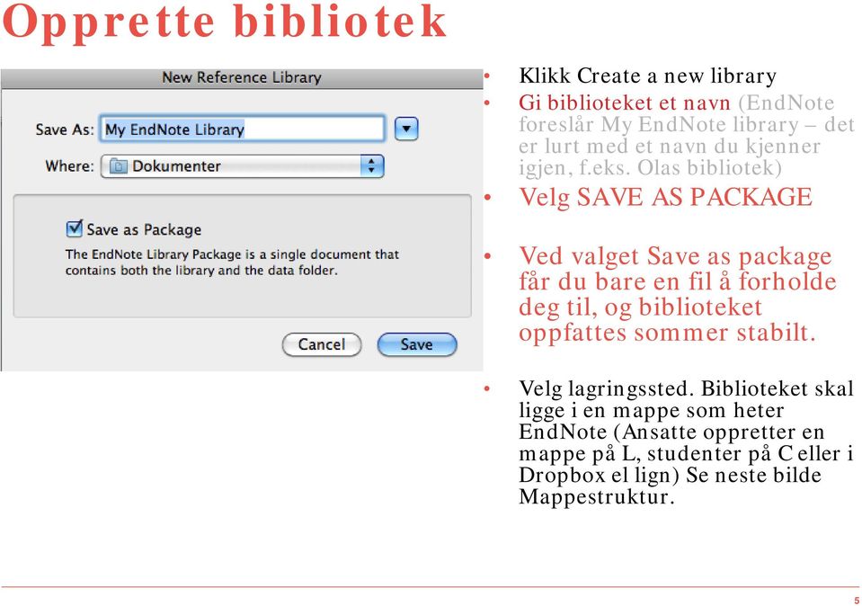 Olas bibliotek) Velg SAVE AS PACKAGE Ved valget Save as package får du bare en fil å forholde deg til, og biblioteket