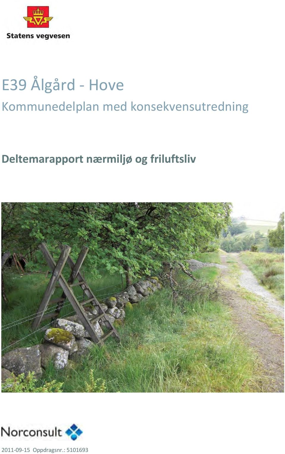 Deltemarapport nærmiljø og