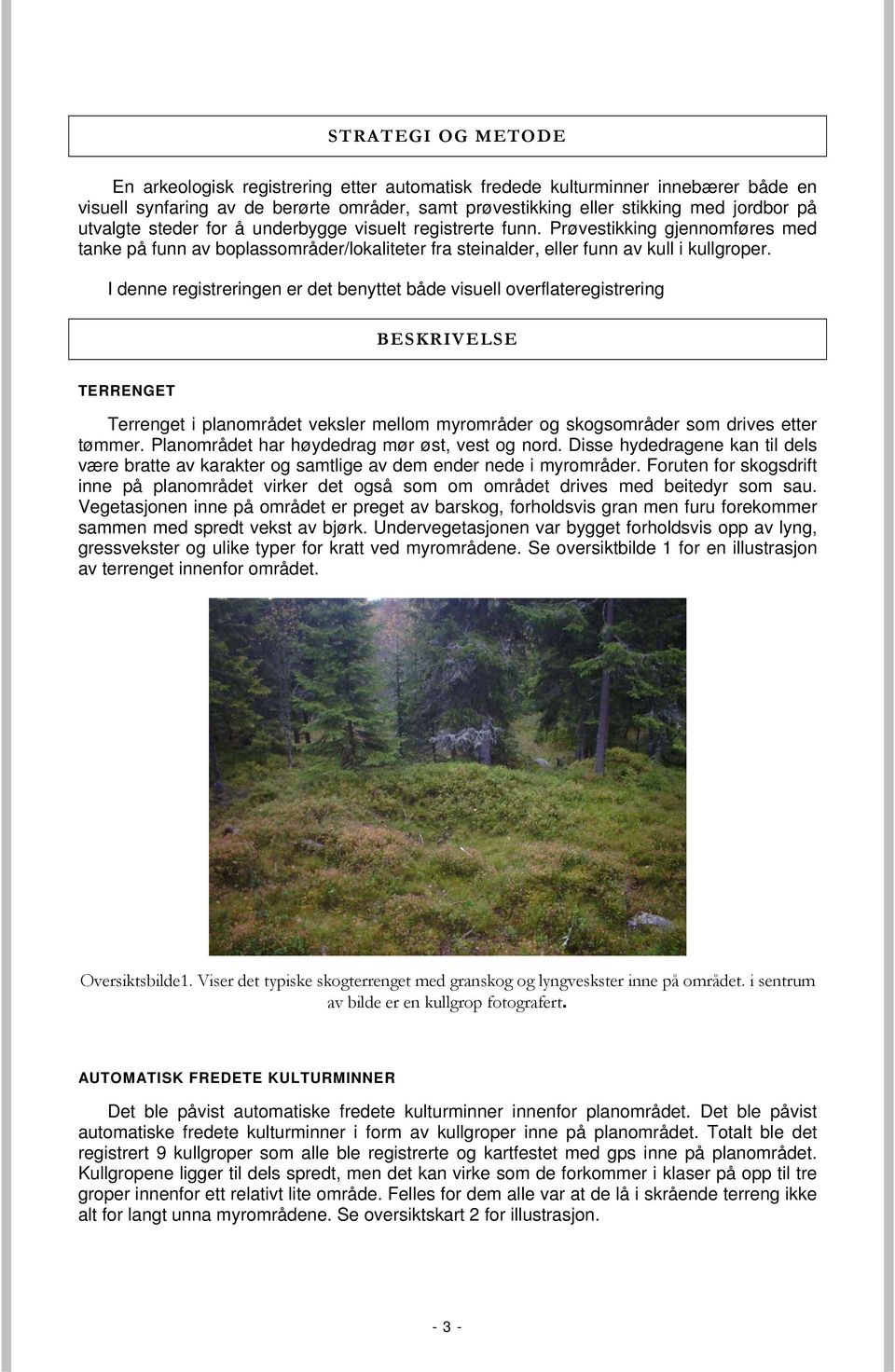 I denne registreringen er det benyttet både visuell overflateregistrering BESKRIVELSE TERRENGET Terrenget i planområdet veksler mellom myrområder og skogsområder som drives etter tømmer.