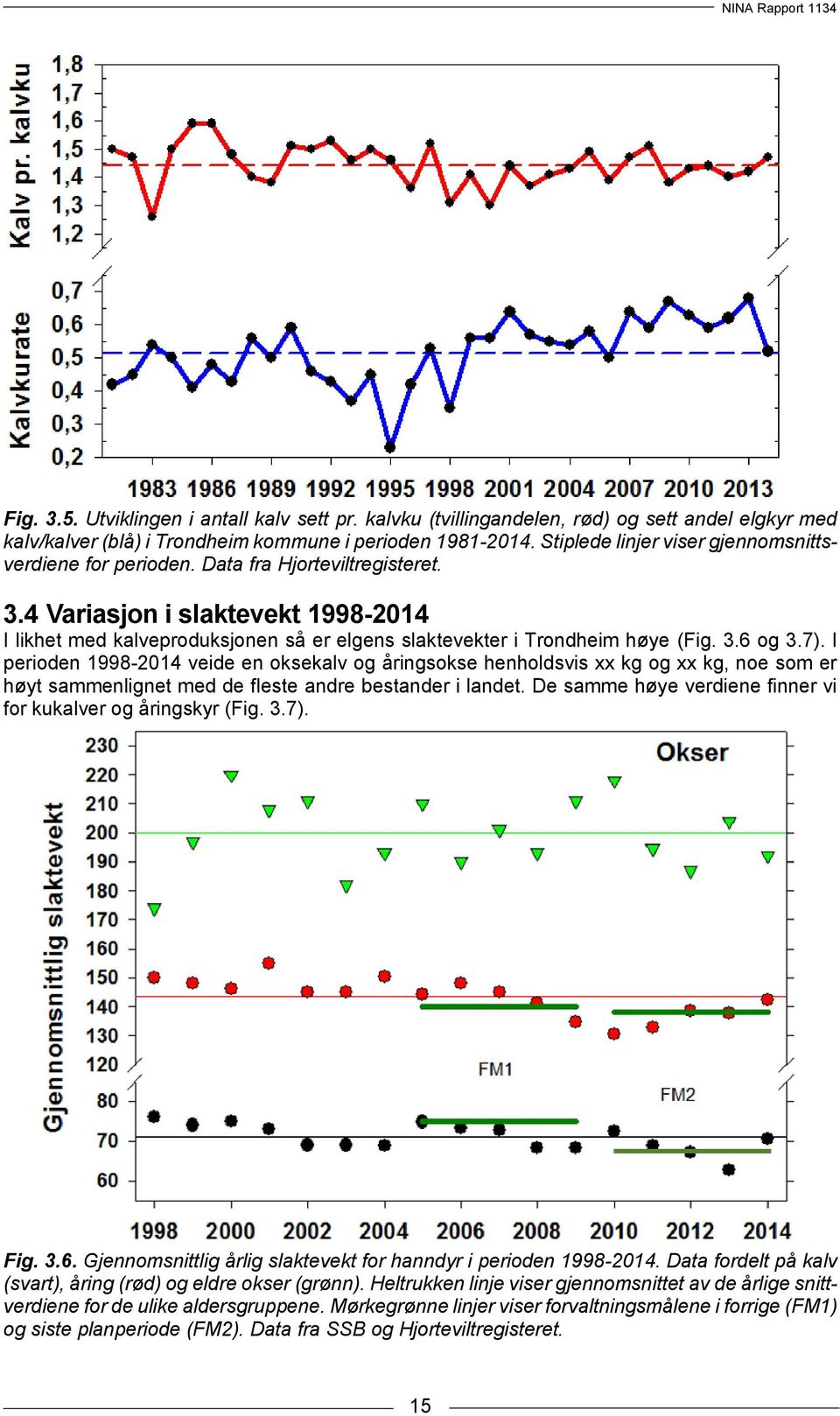 4 Variasjon i slaktevekt 1998-2014 I likhet med kalveproduksjonen så er elgens slaktevekter i Trondheim høye (Fig. 3.6 og 3.7).