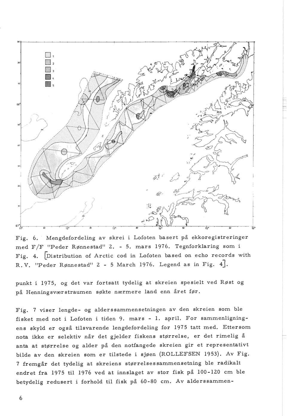 punkt i 1975, og det var fortsatt tydelig at skreien spesielt ved Røst og på Henningsvarr straumen søkte narrmere land enn år et før. Fig.