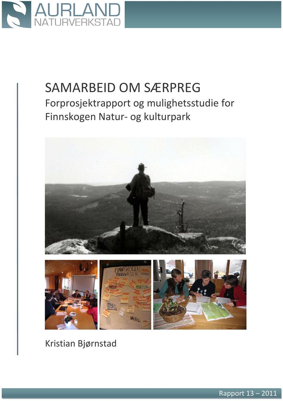 mulighetsstudie for Finnskogen