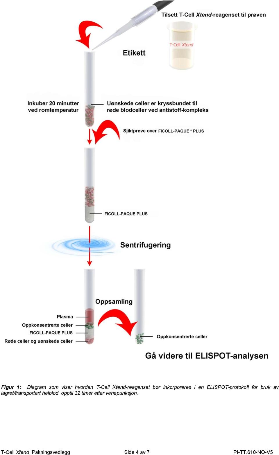 lagret/transportert helblod opptil 32 timer etter