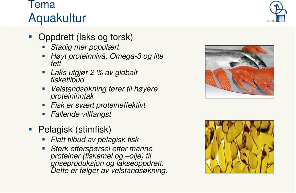 proteineffektivt Fallende villfangst Pelagisk (stimfisk) Flatt tilbud av pelagisk fisk Sterk etterspørsel