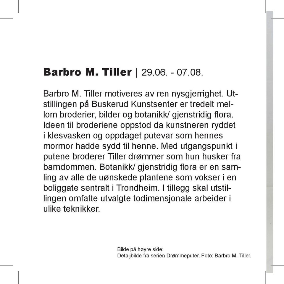 Ideen til broderiene oppstod da kunstneren ryddet i klesvasken og oppdaget putevar som hennes mormor hadde sydd til henne.