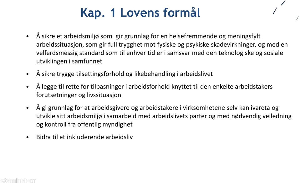 Å legge til rette for tilpasninger i arbeidsforhold knyttet til den enkelte arbeidstakers forutsetninger og livssituasjon Å gi grunnlag for at arbeidsgivere og arbeidstakere i