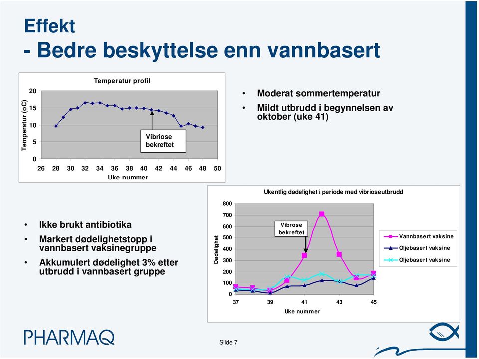 vibrioseutbrudd 800 Ikke brukt antibiotika Markert dødelighetstopp i vannbasert vaksinegruppe Akkumulert dødelighet 3% etter utbrudd i