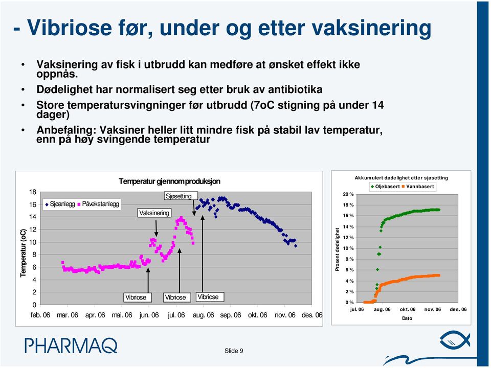 temperatur, enn på høy svingende temperatur 18 16 14 Sjøanlegg Temperatur gjennom produksjon Sjøsetting Påvekstanlegg Vaksinering Akkumulert dødelighet etter sjøsetting Oljebasert Vannbasert