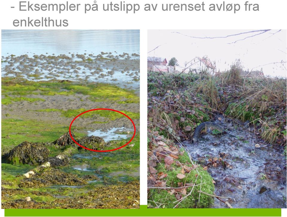 urenset avløp