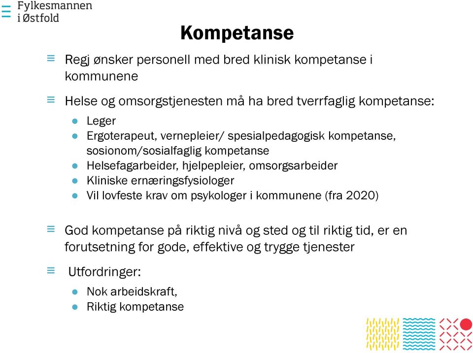 hjelpepleier, omsorgsarbeider Kliniske ernæringsfysiologer Vil lovfeste krav om psykologer i kommunene (fra 2020) God kompetanse på